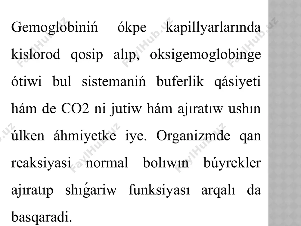 qan haqqında maǵlıwmat - Page 3