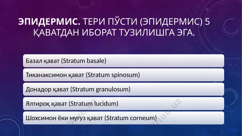 касалликнинг кечиши тарқоқ, қизариш, шиш ва пуфакли тошмаларнинг пайдо бўлиши билан бошланади, эпидермис қаватида ва унинг остида пайдо бўлган экссудат эпидермиснинг қипиқланишига ва уни кўчишига сабабчи бўлади. эксфолиатив (баргсимон) иккиламчи босқичида эса ҳосил бўлган эрозиялар атрофга кенгайишга ва қўшилишга мойил бўлади. касалликнинг бу босқичдаги кечиши жуда оғир бўлиб, бемор болалар худди қайноқ сувда куйиб қолган ҳолатни эслатади. беморларда тана ҳароратининг кўтарилиши, диспептик бузилишлар, анемия, гипотрофия, лейкоцитоз, юқори эчж озиб кетиш ҳолатлари кузатилади э’тиборингиз учун рахмат!!! image2.png image3.png image4.png image5.jpg image6.jpg image7.jpg image8.jpg image9.jpg image10.jpg image11.jpg image12.jpg image13.jpg image14.jpg image15.png image16.jpeg /docprops/thumbnail.jpeg