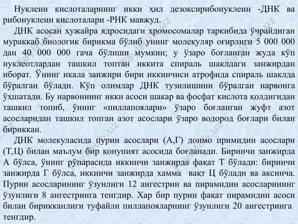 бўлади. днк нинг синтезлашни 1957 йилда америка генетиги а.корнберг сунъий шароитда амалга оширган. 1968 йилда у биологик актив днк ни синтез қилган. кейинчалик маълум бўлдики днк нинг нусха кўчириши «маълум бир нуқтадан» бошланади.) юқори табақали ҳайвонларда бундай нуқталардан бир неча эканлиги аниқланган. бу бўлакча 1000-2000 нуклеотитдан ташкил топган бўлиб,ўни оказаки фрагменти деб атайдилар (япон олими оказаки 1969 йилда ушбу фрагментни аниқлаган). днк нинг ирсиятдаги ролини аниқлаш асосан бактерия ва вируслар ёки фагларда ўтказилган тажрибаларда исботланган. рнк-рибонуклеин кислотани 1909 йилда п.левин кашф этган. рнк ҳам днк молекуласига ўхшаш бўлиб, у бир занжирдан иборат. рнк занжири ҳам 4 хил нуклеотидлар а,г,ц ва у дан ташкил топган. днк занжиридаги т ўрнига «у» бўлади. нуклеотидлар азот асоси рибоза ва фосфат кислота қолдиғидан тузилган. днк углеводлар рнк угводларидан фарқ қилади, яъни днк молекуласидаги нуклеотидларда дезоксирибоза бўлса рнк молекуласидаги нуклеотидларда рибоза бўлади. ҳужайрада уч хил рнк бўлишй аниқланган; 1. и-рнк-информацион (ахбарот)ёки воситачи рнк. баъзи уни и-рнк …