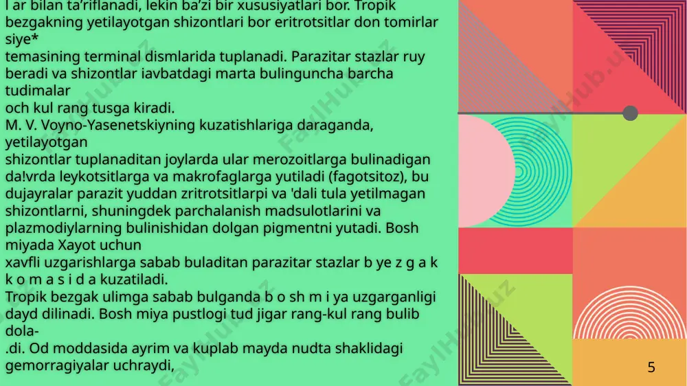 uchraydi (m. v. voyno-yasenetskiydan). jigar abssessi kichkina yongoddaya tortib mushtumday bulishi mumkin 12 le y sh m a n io z leyshm anioz faqat ma’lum geografik m intaqalarga xos bo'lgan transm issiv kasalliklar jum lasiga kiradi. o dam da uchraydigan leyshm aniozning ikki xili tafovut qilinadi: teri leyshm aniozi va visseral leyshmanioz. shu ikkala xilining turli geografik va klinik-epidem iologik variantlari bor. e tio lo giy asi va patogen ezi. leyshm aniozning qo'zg'atuvchilari ikki turdagi leyshm aniylardir, ular bir-biridan tam om boshqacha bo'lib o'tadigan ikki xil kasallikka olib boradi. u larning biri badan terisini zararlab, unda yaralar paydo qiladi (teri leyshm aniozi — «yom on jarohat»), ikkinchisi ichki organlar zararlanishiga sabab bo'ladi (um um iy infeksion kasallik hisoblanadigan visseral leyshm anioz). teri leyshm aniozi qo'zgatuvchisini 1898-yili p. r borovskiy toshkentda k ash f etgan, visseral leyshm anioz qo'zg'atuvchisini esa 1902-yili donovan h indistonda topgan. 13 14 15 leyshm aniylarning shu …