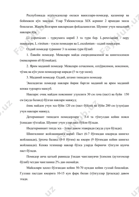 ди. уруғчиси 9-12 кун чангни қабул қила олиш қобилиятига эга бўлиб, энг қулайи 2-4 куни ҳисобланади. ҳаво ҳарорати 120с дан паст ва 350с дан юқори бўлганда ва намлик жуда кўп вақтда чангланиш рўй бермайди. бизнинг шароитимизда ҳарорат юқори вақтда узун уруғчилари ҳосил бўлади. бу эса унинг четдан чангланишига сабаб бўлиши мум​кин. мевасининг оғирлиги турлар бўйича 5граммдан 1000 граммгача бўлади. бир мевада уруғлар сони: кам (50 тагача) ўртача (50-125) ва кўп (125 ва кўп) бўлиши мумкин. 1000 та уруғ массаси майда уруғли навларда 2 – 2,5 грамм ва йи​рик уруғли навларда 3,5 – 3,6 грамм бўлиши мумкин. уруғ чиқими кўп уяли меваларда 0,2 – 0,3 % ва кам уяли серуруғ меваларда 0,4 – 0,5 % бўлиши мумкин. уруғларнинг сақлаш давридаги кондицион намлиги 11% бўлиши лозим. селекция ютуқлари ва йуналишлари ўзбекистонда помидор се​лекцияси ишлари xx асрнинг 40 йилларидан бошланган. биринчи районлаштирилган навлар 1954 йилдан кейин бўлиб, булар темно​красный 2077 ва майкопский урожайный …