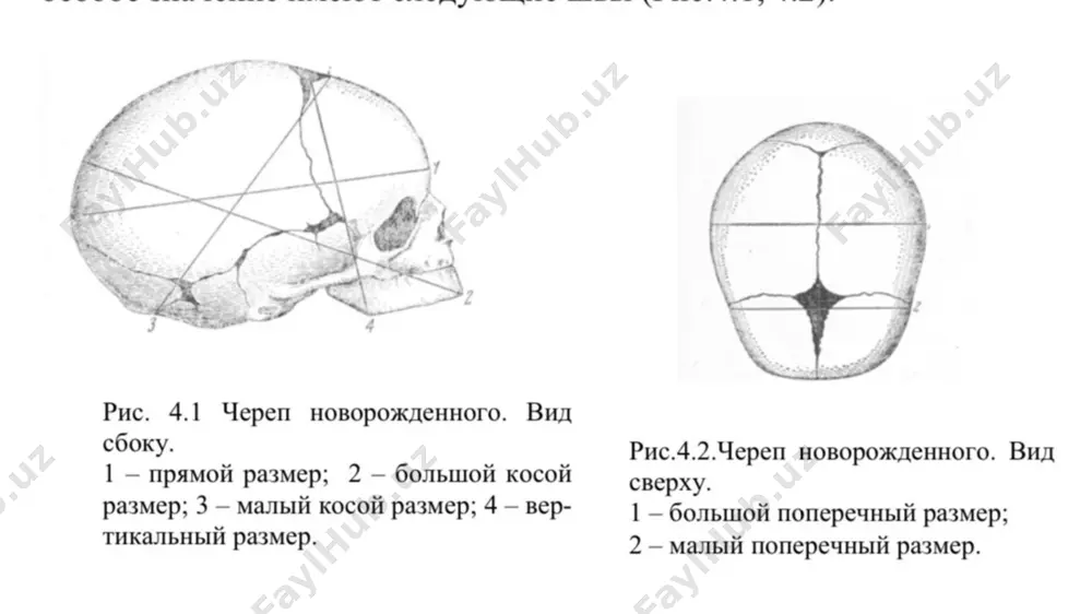 homila tug’ruq obyekti - Page 3