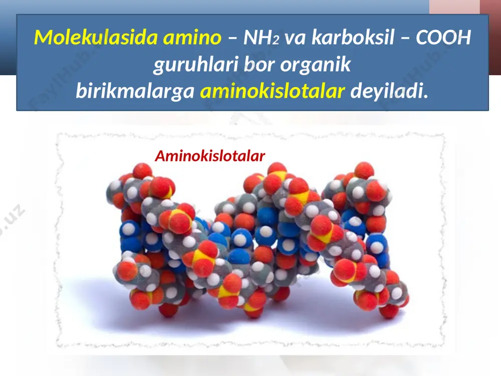 a murakkab oqsillarga bo‘linadi. oqsillarning umumiy xossalari. oqsillarning biologik faolligi ularning molekulasi fazoviy tuzilishi va kimyoviy tuzilishiga bog‘liq bo‘ladi. oqsillar denaturatsiyasi - bu oqsillar konfiguratsiyasining (ikkilamchi va uchlamchi strukturalarining) qizdirish, radiatsiya, kuchli kislota, ishqorlar, og‘ir metallar tuzlari, kuchli silkitish ta’sirida buzilishidir. oqsillarning biologik ahamiyati. oqsillar tirik organizmlarning asosiy tarkibiy qismi bo‘lib, ular barcha о’simlik va hayvon hujayralarining protoplazmalari va yadrolari tarkibiga kiradi. oziqda oqsil yetishmovchiligi yoki bo‘lmasligi og‘ir kasalliklarga olib keladi. oqsillarning oziq qiymati ulardagi aminokislota tarkibi, almashinmaydigan aminokislotalari bilan belgilanadi. image2.jpg image3.png image4.jpeg image5.jpeg image6.png image7.jpeg image8.jpeg image9.jpeg image10.jpeg image11.jpeg image12.jpeg image13.jpeg image14.png image15.jpeg image16.jpeg image17.jpeg image18.jpeg image19.png image20.png image21.jpeg image22.jpeg image23.jpeg image24.jpeg image1.jpg
