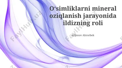 o‘simliklarni mineral oziqlanish jarayonida ildizning roli — PPTX
