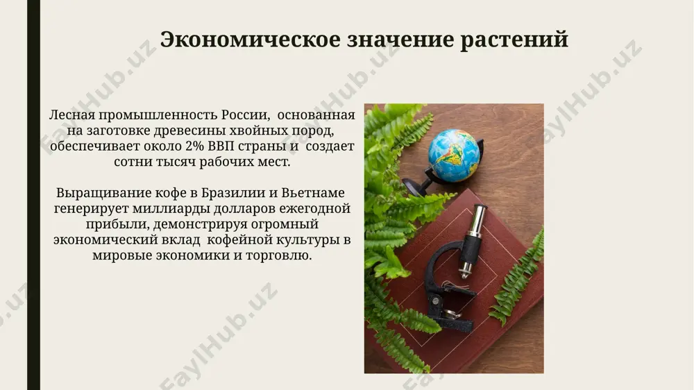 значение растений в жизни человека и биосфере. - Page 5