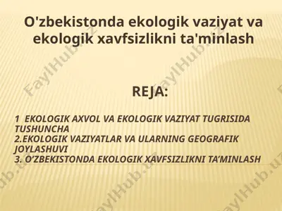 o'zbekistonda ekologik xavfsizlikni ta'minlash — PPTX