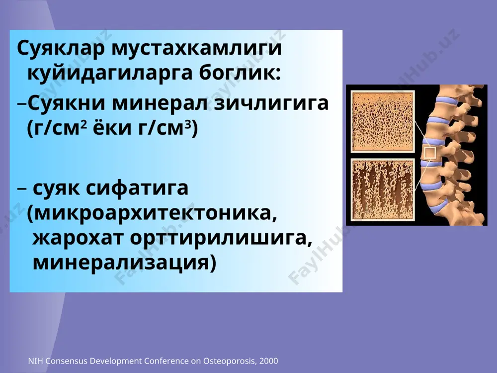 темы. стиль жизни: курение, злоупотребление алкоголем, кофеином, сидячий образ жизни, избыточная физическая нагрузка, непереносимость молочных продуктов, низкое потребление кальция, избыточное потребление мяса и соли, дефицит витамина д. что касается сопутствующих заболевания – они указаны в классификации оп. лекарства, длительное употребление которых повышает риск развития оп: глюкокортикоиды, тиреоидные гормоны, антикоагулянты, антиконвульсанты, препараты лития, цитостатики, препараты тетрациклина, диуретики (фуросемид), препараты фенотиазина, антациды, содержащие алюминий, антагонисты гонадотропного и гонадотропин-рилизинг гормона. gamero et al. j. bone miner. res., 1996, 11: 1531–8. n=7598 (75 ёшдан катта аёллар) остеопорозда суяк синиши хавфини аникловчи факторлар * 6 остеопороз ривожланишидаги асосий омиллари суяк массаси пики генетик факторлар ирсий жинсий гормонлар даражаси озикланиш - кальций ва витаминлар суяк тукимасини йукотиш кечиши тезлиги факторлар: озикланиш, хаёт тарзи, гормонлар, дориларни кабул килиш ва х.к – богликлик остеопороз ривожланишини тухтатиш учун юкоридаги факторларни хаммасига эътибор каратиш керак купчилик остеопороз билан огриган беморларда гормон даражаси нормада булади, минерал элементлар ва суяк тукимаси ремоделлаш …