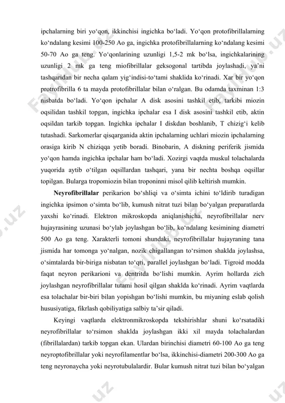 hta boshqa oqsillar topilgan. bularga tropomiozin bilan troponinni misol qilib keltirish mumkin. neyrofibrillalar perikarion bo‘shliqi va o‘simta ichini to‘ldirib turadigan ingichka ipsimon o‘simta bo‘lib, kumush nitrat tuzi bilan bo‘yalgan preparatlarda yaxshi ko‘rinadi. elektron mikroskopda aniqlanishicha, neyrofibrillalar nerv hujayrasining uzunasi bo‘ylab joylashgan bo‘lib, ko‘ndalang kesimining diametri 500 ao ga teng. xarakterli tomoni shundaki, neyrofibrillalar hujayraning tana jismida har tomonga yo‘nalgan, nozik chigallangan to‘rsimon shaklda joylashsa, o‘simtalarda bir-biriga nisbatan to‘qri, parallel joylashgan bo‘ladi. tigroid modda faqat neyron perikarioni va dentritda bo‘lishi mumkin. ayrim hollarda zich joylashgan neyrofibrillalar tutami hosil qilgan shaklda ko‘rinadi. ayrim vaqtlarda esa tolachalar bir-biri bilan yopishgan bo‘lishi mumkin, bu miyaning eslab qolish hususiyatiga, fikrlash qobiliyatiga salbiy ta’sir qiladi. keyingi vaqtlarda elektronmikroskopda tekshirishlar shuni ko‘rsatadiki neyrofibrillalar to‘rsimon shaklda joylashgan ikki xil mayda tolachalardan (fibrillalardan) tarkib topgan ekan. ulardan birinchisi diametri 60-100 ao ga teng neyroptofibrillalar yoki neyrofilamentlar bo‘lsa, ikkinchisi-diametri 200-300 ao ga teng neyronaycha yoki neyrotubulalardir. bular kumush nitrat tuzi …