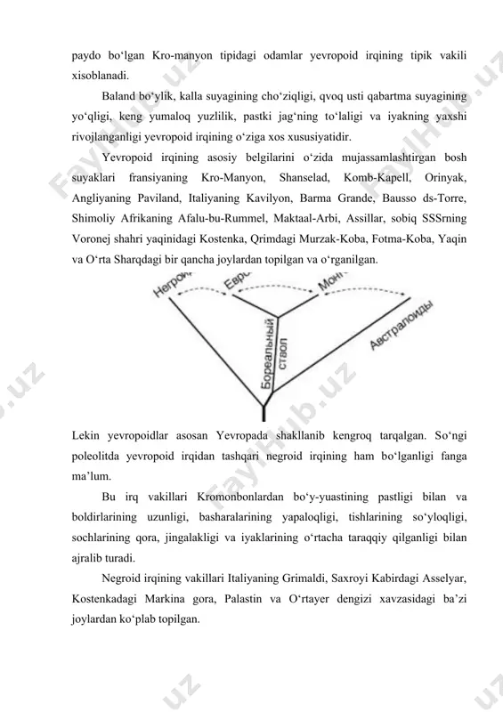 odamlar yevropoid irqining tipik vakili xisoblanadi. baland bо‘ylik, kalla suyagining chо‘ziqligi, qvoq usti qabartma suyagining yо‘qligi, keng yumaloq yuzlilik, pastki jag‘ning tо‘laligi va iyakning yaxshi rivojlanganligi yevropoid irqining о‘ziga xos xususiyatidir. yevropoid irqining asosiy belgilarini о‘zida mujassamlashtirgan bosh suyaklari fransiyaning kro-manyon, shanselad, komb-kapell, orinyak, angliyaning paviland, italiyaning kavilyon, barma grande, bausso ds-torre, shimoliy afrikaning afalu-bu-rummel, maktaal-arbi, assillar, sobiq sssrning voronej shahri yaqinidagi kostenka, qrimdagi murzak-koba, fotma-koba, yaqin va о‘rta sharqdagi bir qancha joylardan topilgan va о‘rganilgan. lekin yevropoidlar asosan yevropada shakllanib kengroq tarqalgan. sо‘ngi poleolitda yevropoid irqidan tashqari negroid irqining ham bо‘lganligi fanga ma’lum. bu irq vakillari kromonbonlardan bо‘y-yuastining pastligi bilan va boldirlarining uzunligi, basharalarining yapaloqligi, tishlarining sо‘yloqligi, sochlarining qora, jingalakligi va iyaklarining о‘rtacha taraqqiy qilganligi bilan ajralib turadi. negroid irqining vakillari italiyaning grimaldi, saxroyi kabirdagi asselyar, kostenkadagi markina gora, palastin va о‘rtayer dengizi xavzasidagi ba’zi joylardan kо‘plab topilgan. sо‘ngi poleolit davrida markaziy osiyo, sibir va uncha tutash bо‘lmagan joylarda …
