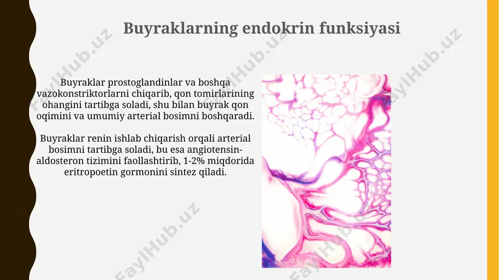 periferik endokrin bezlar - Page 5