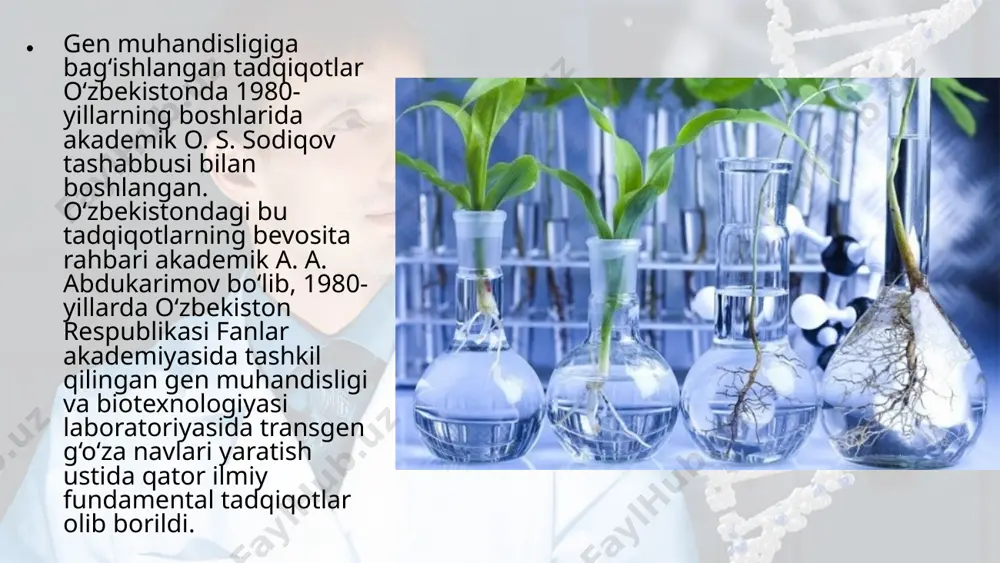 gan gepatit b xastaligini tashxis qilish va bu xastalikning oldini olish uchun zarur vaksina yaratish bo‘yicha ilmiy loyihalarni muvaff aqiyatli yakunladilar. biologiya fanlari doktori r. s. muhamedov, yetakchi ilmiy xodim b. iris bo yevlar rahbarlik qilayotgan ilmiy guruh pcr texnologiyasini qo‘llab, o‘nlab xavfl i yuqumli va irsiy kasalliklarning gen muhandisligi tashxisi biotexnologiyasini keng tatbiq qilishdi. respublika kardiomarkazi bilan hamkorlikda kardiomiopatiya kasalligining irsiylanish qonuniyatlari o‘rganilmoqda (b. irisboyev, g. hamidullayeva). adliya vazirligining sud tibbiyoti ekspertizasi instituti «geninmar» markazi bilan hamkorlikda gen daktiloskopiya (gen daktiloskopiya – genning dnk izchilligi va genlar spektriga binoan noma’lum shaxsni aniqlash) usulini tatbiq etdilar va yanada takomillashtirdilar (r. s. muhamedov va a. ikromov). professor o. t. odilova tuproq va yerosti suvlarida to‘planib qolgan pestitsid qoldiqlarini parchalab zararsizlantiruvchi pseudomonas bakteriyasi shtammidan shu funksiyalarini bajaruvchi genlar guruhini g‘o‘za tomiri tolachalari sathida yashovchi rizosfera bakteriyasiga ko‘chirib o‘tkazdi. bu tajribalardan kutilgan maqsad pirovardida g‘o‘za ekiladigan maydonlarda g‘o‘zaga o‘nlab yillar davomida sepilgan gerbitsid …