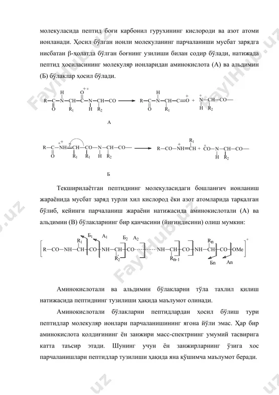 тан (-ҳолатда бўлган боғнинг узилиши билан содир бўлади, натижада пептид ҳосиласининг молекуляр ионларидан аминокислота (а) ва альдимин (б) бўлаклар ҳосил бўлади. текширилаётган пептиднинг молекуласидаги бошланғич ионланиш жараёнида мусбат заряд турли хил кислород ёки азот атомларида тарқалган бўлиб, кейинги парчаланиш жараёни натижасида аминокислотали (а) ва альдимин (в) бўлакларнинг бир қанчасини (йиғиндисини) олиш мумкин: аминокислотали ва альдимин бўлакларни тўла тахлил қилиш натижасида пептиднинг тузилиши ҳақида маълумот олинади. аминокислотали бўлакларни пептидлардан ҳосил бўлиш тури пептидлар молекуляр ионлари парчаланишининг ягона йўли эмас. ҳар бир аминокислота қолдиғининг ён занжири масс-спектрнинг умумий тасвирига катта таъсир этади. шунинг учун ён занжирларнинг ўзига хос парчаланишлари пептидлар тузилиши ҳақида яна қўшимча маълумот беради. масс-спектрометриянинг афзалликларидан бири (-аминогурух тутмаган пептидларни тахлил этишга имкон беради ва азот атомида жойлашган гурухларнинг кимёвий табиатини аниқлайди. электронлар ёрдамида ионланиш жараёни бажарилса 4-6 та аминокислота қолдиғидан ташкил топган пептидларни ўрганиш мумкин. ҳозирги вақтда масс-спектрометрларнинг имкониятларидан тўла фойдаланиш учун тезлаштирилган атомлар билан “бомбардировка” қилиш услуби ишлатилади, …