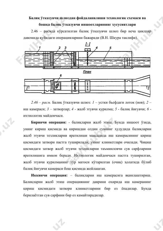 увчи қурилмани зич ҳолда ихтиологик майдончага кўчириб ўрнатадилар. балиқлар ихтиологик майдонча жойлашуви зонасида бўладилар, майдончани юзага кўтарадилар. балиқларни ҳисоблаб, кузатувдан ўтказиб, белги қўйилиши учун танлайдилар. олтинчи операция – балиқларни устки бьефга чиқариш. ихтиологик майдонча матосини иш камерасининг тубига туширадилар. кириш қисмидаги затворни кўтарадилар. жалб этувчи қурилмани вертикал тўрли матоси билан бирга устки бьефдаги лотокнинг бош қисмига кўчирадилар ҳамда шу билан балиқларни устки бьефга чиқарадилар. еттинчи операция – иш камерасининг бўшатилиши. кириш қисмидаги затворни туширадилар, унинг клинкетларини балиқларни жалб этиши режимига очадилар. чиқиш қисмидаги затворни иш камераси бўшаб қолишига мувофиқ кўтарадилар, жалб этувчи қурилмани балиқ йиғувчи лотокнинг охирги қисмига, яъни дастлабки ҳолатига кўчирадилар. юқорида айтиб ўтилган балиқ ўтказувчи шлюзнинг иш схемаси дон дарьёсидаги кочетовский гидроузелида новочеркасск инженер-мелиоратив институти ўтказилган амалиёт тадқиқотлари жараёнида қабул қилинган. ушбу гидроузел 1972 йилдан фойдаланилган бўлиб, белуга, осётр, севрюга, стерлядь, рибец, лещ, судак, сельдь, чехонь ва бошқа турли ҳунармандчилик балиқларини ўтказадиган энг самарали балиқ ўтказувчи иншоотига эгадир. …