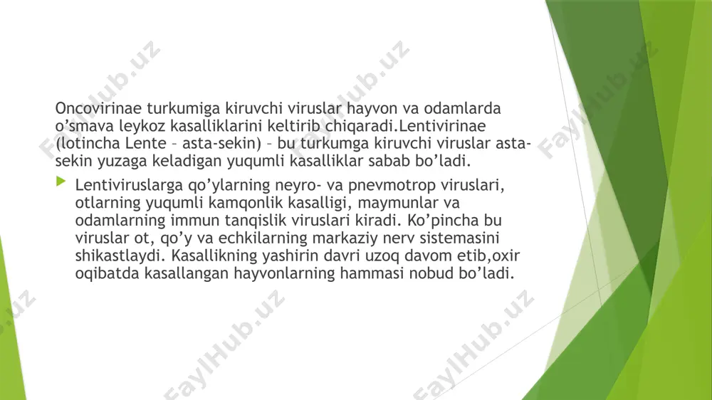 ’laroq, oiv murakkab genomga ega,chunki unda boshqaruvchi genlar mavjud. oiv genomi 9213 ta nukleotiddan iborat 9 ta gendan tashkil topgan. oiv genomi 9213 ta nukleotiddan iborat 9 ta gendan tashkil topgan. uchta tuzuvchi gag, pol va env genlari virusning tuzilma komponentlarini belgilaydi:gag-genvirion mag’zidagi va kapsididagi ichki oqsillarni (p17, p24, p15);env gen- tashqi qobiqdagi tipga xos oqsillarni (gp41, gp120); pol-gen qayta-transkriptaza,endonukleaza va virus maxsus proteazalarni nazorat qiladi. oiv boshqa retroviruslardan tuzuvchi genlar nazorat sistemasining murakkabligi bilan farq qiladi. shulardan tat va rev genlar e’tiborga loyiq.tat gen mahsuloti ham tuzuvchi, ham boshqaruvchi genlar transkripsiyasi tezligini o’n barobarga oshiradi. rev gen ham transkripsiyani nazorat qiladi. lekin u nazorat qiluvchi yoki tuzilma genlarni boshqaradi. bunda nazorat oqsillari o’rniga tuzilma oqsillari sintez qilinadi va virusning reproduksiya tezligi oshadi. shunday qilib,rev-gen ishtirokida latent infeksiyaning faol klinik shakliga o’tishini belgilaydi. nef-gen oiv reproduksiyasini to’xtashini va uning latent holatiga o’tishini ta’minlaydi.vif-gen hujayradan ajralib chiqib, boshqa hujayraga kirish tezligini …