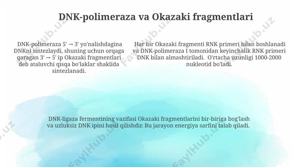 dnk replikatsiyasi - Page 5