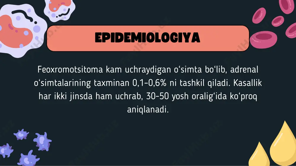 feoxromotsitoma - Page 3