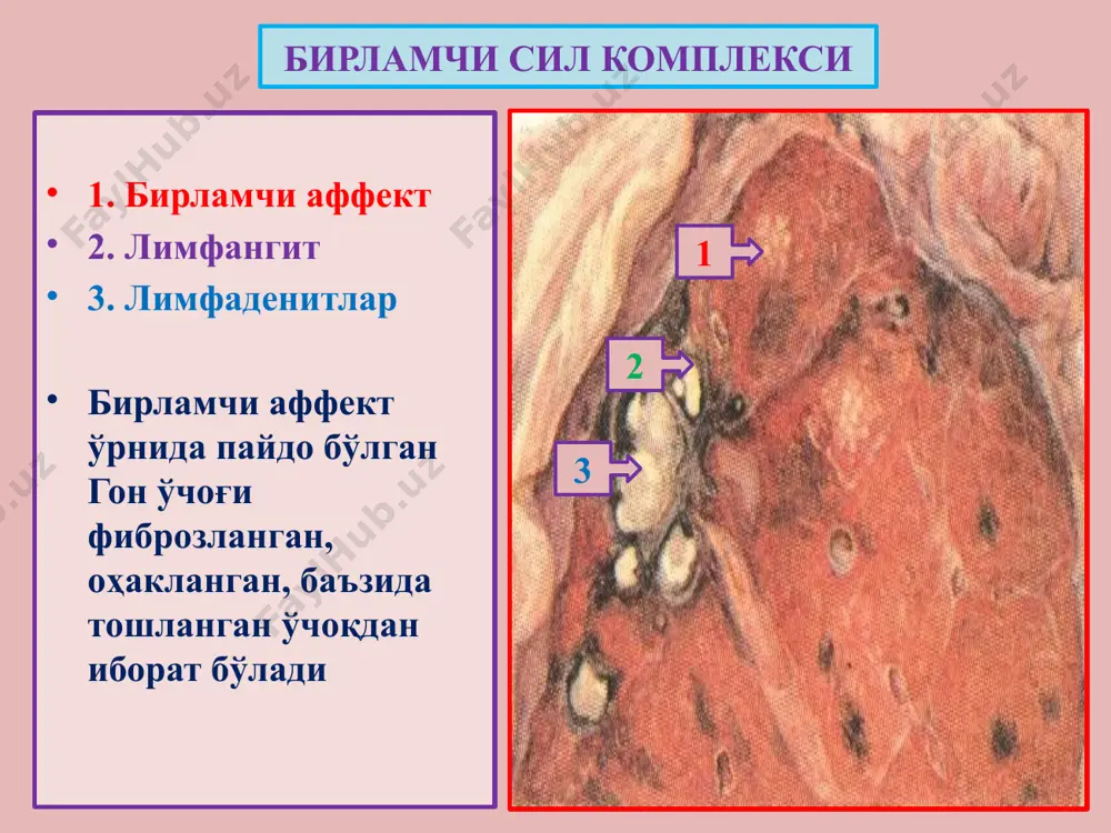сил - Page 4