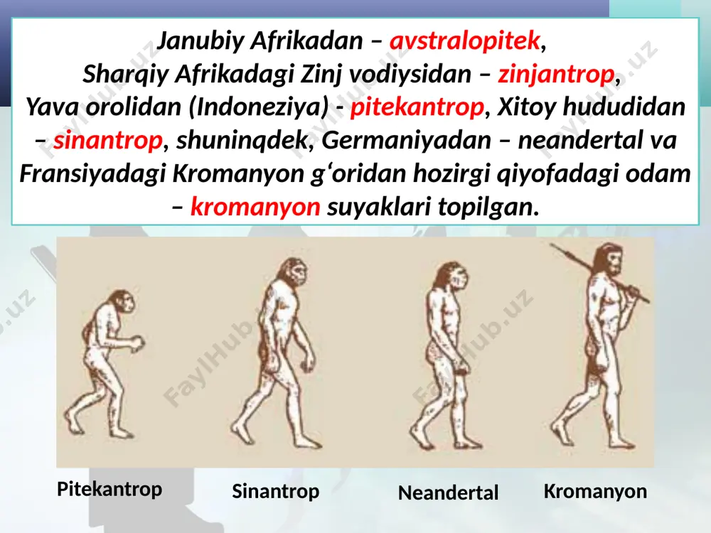 eng qadimgi odamlar rivojining ilk bosqichlari. 6- sinf - Page 4