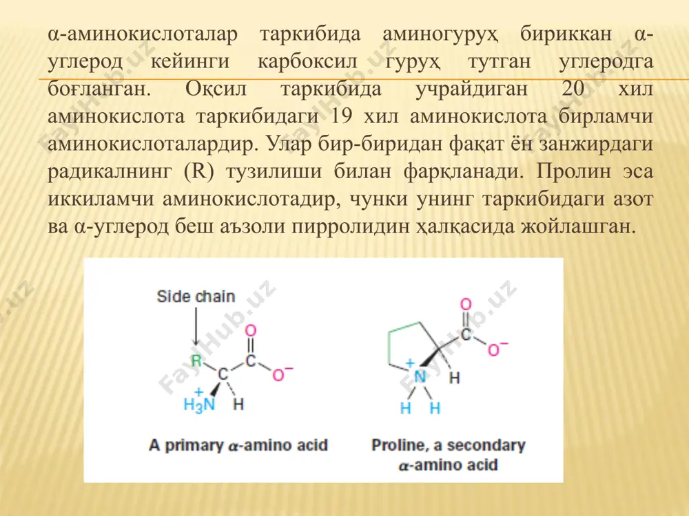 аминокислоталар ва оқсиллар - Page 5