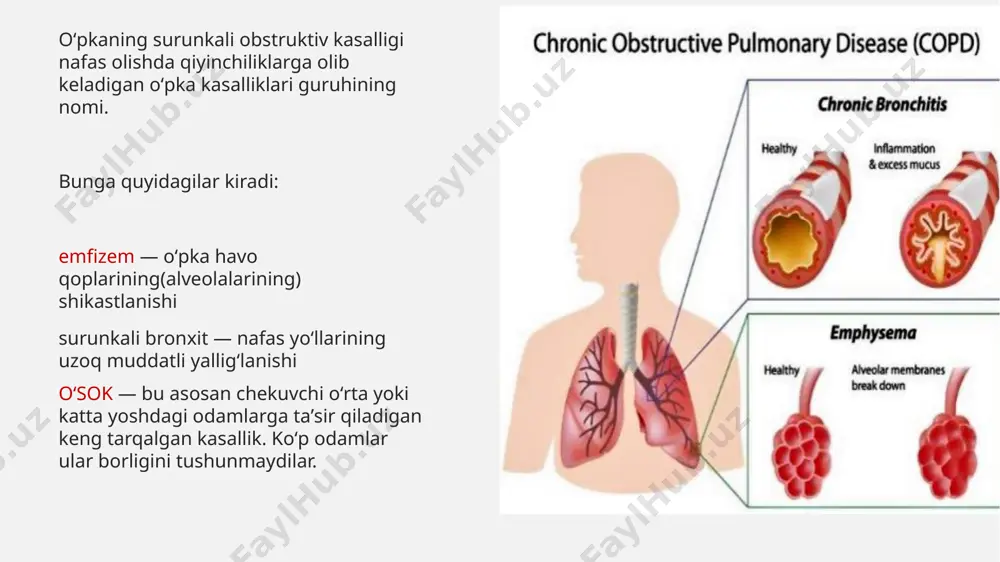 o’pka surunkali obstruktiv kasalligi - Page 2