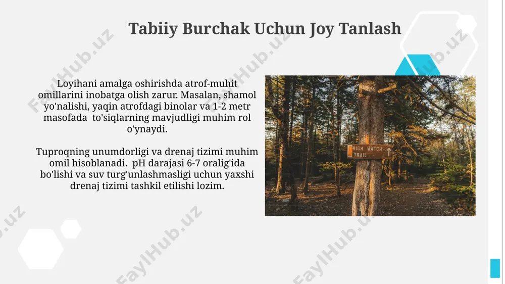 tabiat burchagiga qo'yiladigan talablar - Page 4