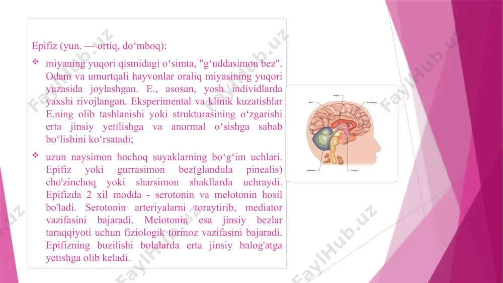 qo'shiqlar mavjud " , boshqa bir guruh "fila brazilla" "main that tune" albomidan "extrakt of pineal gland" qo'shig'ini yozdi. epifiz bezining anatomiyasining birinchi tavsifi galen tomonidan qilingan. epifiz bezining katta intraserebral venaga yaqin joylashganligini kuzatishga asoslanib, galen uni limfa bezlarini regulyatori deb hisobladi. hind yogislari bu kichkina organ ruhning oldingi mujassamlanishini aks ettirish uchun mo'ljallangan, ravshan organdan boshqa narsa emas, deb ishonishgan. qadimgi yunoniston va hindiston olimlari ushbu organga qiziqish bildirishgan. bu ayyorlik organi, aqliy muvozanat organi, "inson qalbining markazi" deb ishonilgan. dekart epifizga ham e'tibor qaratgan, u bu organ hayvonlarning ruhlarini tananing turli organlari o'rtasida taqsimlaydi, deb hisoblagan. shuningdek, u ruhiy kasalliklarni epifiz tuzilishining buzilishi bilan bog'liq holda tushuntirishga harakat qildi. 17-asrda frantsuz olimi dekart epifiz - bu material insondagi ideal bilan o'zaro ta'sir qiladigan organ, deb hisoblagan. ko'pchilik miya tuzilmalari juftlashganligini, ya'ni ular o'ng va chap yarim sharlarda simmetrik joylashishini bilib, u inson ruhi aynan shu organda joylashganligini …