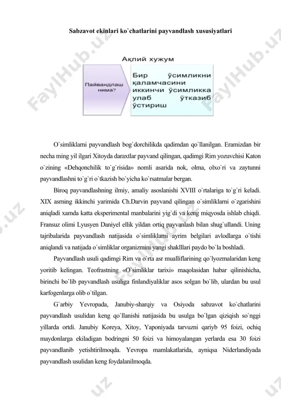 asallanadi. ayniqsa ushbu sharoitda ildiz tizimi ko`p zararlanadi va natijada chirish kasalligi ko`payadi. shuning uchun payvandlash usullaridan ekinlarni sovuqqa chidamliligini oshirish, turli hildagi kasallikdan saqlash maqsadida foydalanilmoqda. olimlar fikricha, rossiyada pomidorni kartoshka, qalampir, baqlajon, fizalis, marginatum, tamaki va boshqa ekinlarga payvand qilinganligi ma’lum. buning natijasida vegetativ duragaylar olinmagan bo`lsada, avlodlarda o`zgarishlar bo`lmay asosiy o`zgarishlar sitologik, ya’ni noirsiy tabiatga ega bo`lgan. sabzavot ko`chatlarini payvandlash usuli rossiya va ukrainada birinchi bo`lib ishlab chiqilganligiga qaramasdan, ishlab chiqarishda keng foydalanilmadi, lekin ularni o`rganish bo`yicha tajribalar shu kunlarda ham olib borilmoqda. o`rta yer dengizi xududida suv ta’minoti chegaralanganligi sug`orilavdigan dexqonchilikning asosiy muammolaridan biri hisoblanadi. payvandlash qurg`oqchilikka chidamlilikni kuchaytiradi, suvga talabchan o`simliklardan samarali foydalanish va o`simliklarni yaxshi o`suvini ta’minlaydi. mevalarning sifat ko`rsatgichlari, jumladan quruq modda va umumiy eriydigan quruq moddalarining miqdori payvandlangan tarvuzlarda payvandlanmagan o`simliklarga nisbatan bir hil bo`lgan bo`lsa, titrlangan kislotaning konsentratsiyasi, kaliy va magniy miqdorlari sezilarli darajada yaxshilangan. payvandlangan o`simliklarda xosilni ortib borishi asosan …