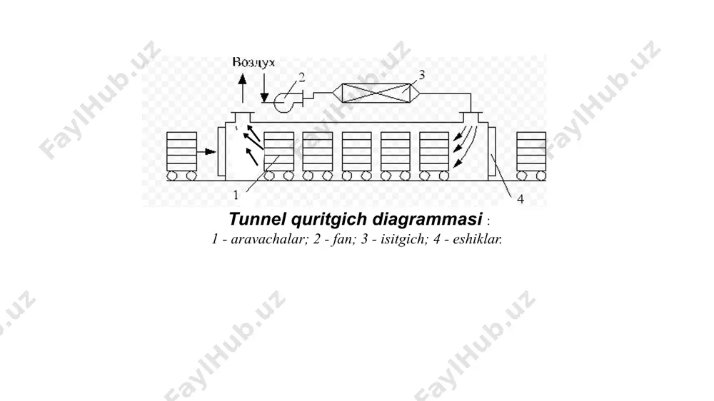 quritgich turlari - Page 5