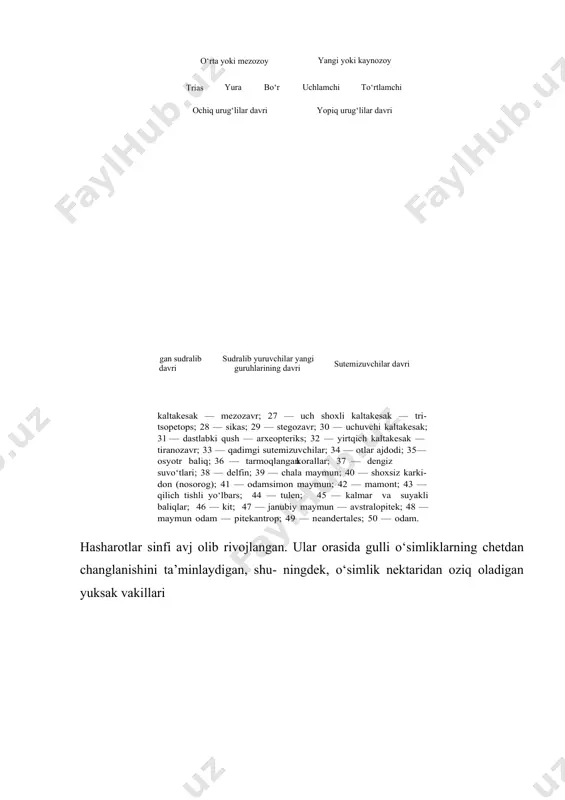 o‘rtlamchi gan sudralib davri sudralib yuruvchilar yangi guruhlarining davri sutemizuvchilar davri ochiq urug‘lilar davri yopiq urug‘lilar davri kaltakesak — mezozavr; 27 — uch shoxli kaltakesak — tri- tsopetops; 28 — sikas; 29 — stegozavr; 30 — uchuvchi kaltakesak; — dastlabki qush — arxeopteriks; 32 — yirtqich kaltakesak — 31 tiranozavr; 33 — qadimgi sutemizuvchilar; 34 — otlar ajdodi; 35— osyotr baliq; 36 — tarmoqlangan — dengiz korallar; 37 suvo‘tlari; 38 — delfin; 39 — chala maymun; 40 — shoxsiz karki- don (nosorog); 41 — odamsimon maymun; 42 — mamont; 43 — qilich tishli yo‘lbars; 44 — tulen; 45 — kalmar va suyakli baliqlar; 46 — kit; 47 — janubiy maymun — avstralopitek; 48 — maymun odam — pitekantrop; 49 — neandertales; 50 — odam. paydo bo‘lgan. sudralib yuruvchi hayvonlar ham kamaygan. quruqiikda, havoda qushlar, sutemizuvchilar, suvda esa baliqlar, ikkinchi marta suv muhitida yashashga moslashgan sutemizuvchilar uchragan. davr oxiriga kelib qushlarning …