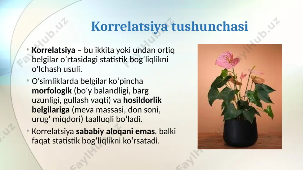 ir xil o‘simlik belgilarining korrelatsiyasi turli sharoitlarda o‘zgarishi mumkin. masalan, bug‘doyda “don massasi – boshoq uzunligi” korrelyatsiyasi sug‘oriladigan maydonda kuchli, qurg‘oqchil hududda esa zaif bo‘lishi mumkin. demak, korrelatsion bog‘lanish absolyut emas, balki sharoitga moslashuvchan. multikorrelatsiya va kompleks belgilar o‘simliklar belgilarining ko‘pchiligi ko‘p omilli ta’sir ostida rivojlanadi. masalan, hosildorlik – bu barg maydoni, fotosintez intensivligi, ildiz rivojlanishi, oziq elementlar to‘planishi kabi bir nechta belgilar bilan kompleks bog‘liq. shuning uchun ko‘pincha oddiy ikki belgini emas, balki bir nechta belgilar o‘rtasidagi korrelyatsiya tarmoqlari o‘rganiladi. qiyosiy korrelatsion tahlil bir xil turdagi o‘simlikning navlari yoki populyatsiyalari orasida korrelatsiya kuchi farq qilishi mumkin. masalan, paxta navlaridan birida “tolaning uzunligi – tolani mustahkamligi” bog‘lanishi kuchli bo‘lsa, boshqasida zaif bo‘lishi mumkin. bu navlarning genetik xilma-xilligi haqida signal beradi. seleksiyadagi amaliy qo‘llanilishi korrelatsiya orqali indirekt seleksiya qilinadi:agar bevosita o‘lchash qiyin bo‘lgan belgi (masalan, oqsil miqdori) oddiyroq belgi (masalan, don og‘irligi) bilan yuqori korrelyatsiyada bo‘lsa, seleksiya o‘sha oddiy belgiga qarab …