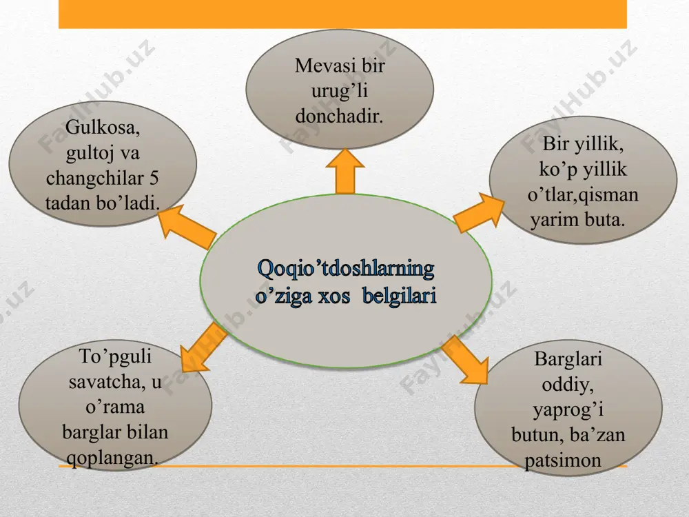 qoqio’tdoshlar oilasi - Page 4