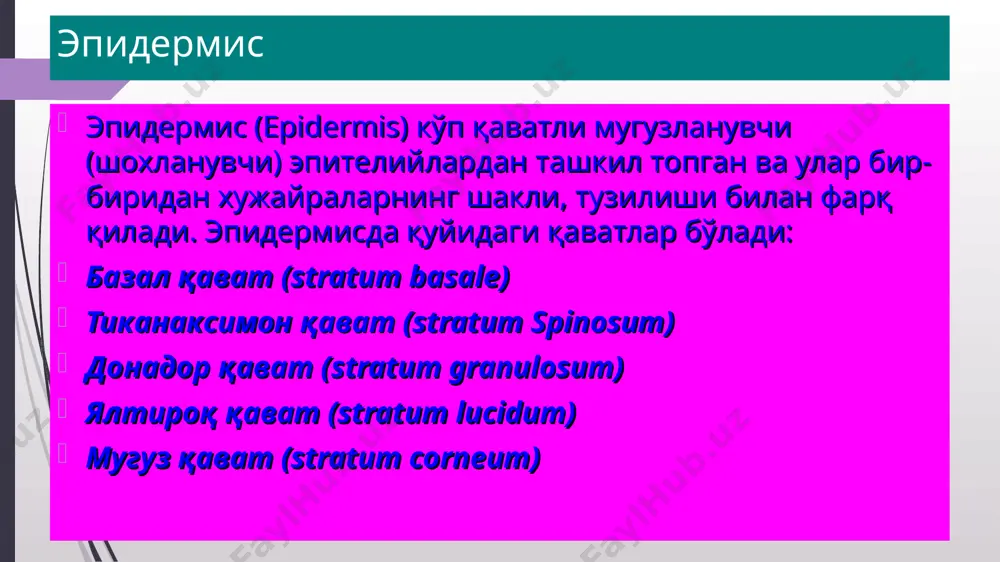 и сифилисда, экземада ва бошқа кўплаб касалликларда учрайди. доғ (macula) macula inflammatoria rosea) доғ (macula) яллиғланишсиз доғларга жахл (ёки уялиш) эритемаси мисол бўлади.шунингдек телеангиэктазиялар хам яллиғланишсиз доғлардир. геморрагик доғлар терига қон қуйилиши оқибатида хосил бўладилар. уларга петехиялар, пурпуралар экхимозлар, вибицесс (чизиқсимон геморрагик доғлар), гематомалар киради. пигмент доғлари гиперпигментацияли ёки депигментацияли бўлади. улар пайдо бўлишига қараб туғма ёки орттирилган бўлиши мумкин. . сунъий доғлар терига бўёвчи моддаларнинг кириши оқибатида пайдо бўлади. (татуировкалар, профессионал стигмалар). доғ (macula) macula hyperchromica (pityriasis versicolor) доғ (macula) гиперпигментацияли доғлар терида меланин пигментининг чўкиши оқибатида пайдо бўлпадилар. туғма ва орттирилган гиперпигментацияли доғлар фарқланади. туғма гиперпигментацияли доғлар — булар асосан невуслардир (холлар). орттирилган гиперпигментацияли доғларга сепкиллар мисол бўлади, шунингдек аддисон касаллигида, фотодерматозларда хам шундай доғлар пайдо бўлади. терида меланин пигменти бўлмаса депигментацияли доғлар пайдо бўлади. орттирилган депигментацияли доғга витилиго, туғмага эса альбинос мисол бўлади. доғ (macula) macula achromica (vitiligо) тугунча (papula) тугунча (papula) — терининг сатхидан кўтарилиб турувчи, …