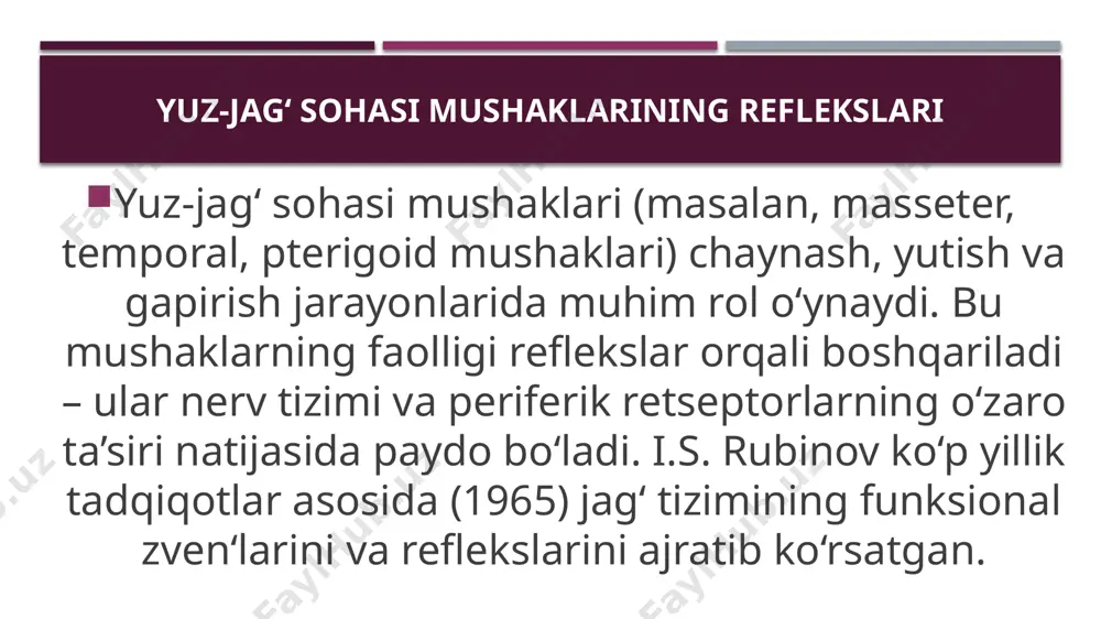 ish aktlarini grafik ravishda yozib oladi. normal va patologik holatlarni solishtirishga yordam beradi. - elektromiomastikatsiografiya: mushaklarning bioelektr faolligini o‘lchaydi, reflekslarning neyrodinamik bog‘lanishlarini aniqlaydi. - miotometriya: mushak tonusi va qisqarish kuchini baholaydi, miostatik reflekslarni tahlil qiladi. - fagigrafiya: yutish harakatini o‘rganish usuli. eʼtiboringiz uchun rahmat! image1.jpeg image2.jpeg image3.jpeg image4.jpeg image5.jpeg image6.jpeg /docprops/thumbnail.jpeg