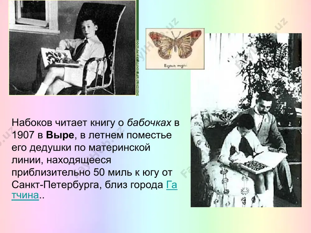 я девушка, с большими черными глазами, как-то по-особенному сияющими, с темными волосами, с смуглой золотистой кожей. от нее исходили радость и теплота". зиверты жили в одной из самых парадных улиц петербурга - миллионной, дом 10. хотя владимир набоков и светлана зиверт принадлежали к одному кругу и имели общих друзей, но в петербурге они знакомы не были. в марте 1922 года в здании берлинской филармо-нии состоялся при большом стечении народа доклад павла николаевича милюкова «америка и восстановление россии». лекция прошла спокойно, однако, как только был объявлен перерыв, «несколько человек бросилось вперед, двое из них что-то выкрикивали, и вдруг блеснул выстрел. окружавшие милюкова увели его из зала, каминка и набоков бросились к стрелявше-му, набоков схватил его за руку, тот сопротивлялся и оба упали на пол. в этот момент подбежал другой, тоже выстрелил и, высвободив своего товарища, бросился с ним к выходу». набокова убили двумя выстрелами в упор в спину. убийц поймали и …