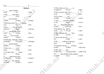 beginner english grammar test — PDF