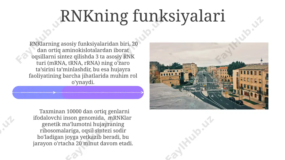 rnk tuzulishi va turlari - Page 4