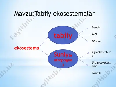 tabiiy ekosestemalar — PPTX