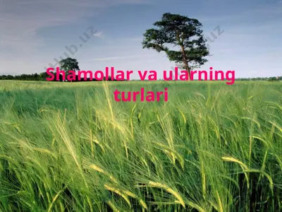 shamollar va ularning turlari — PPTX