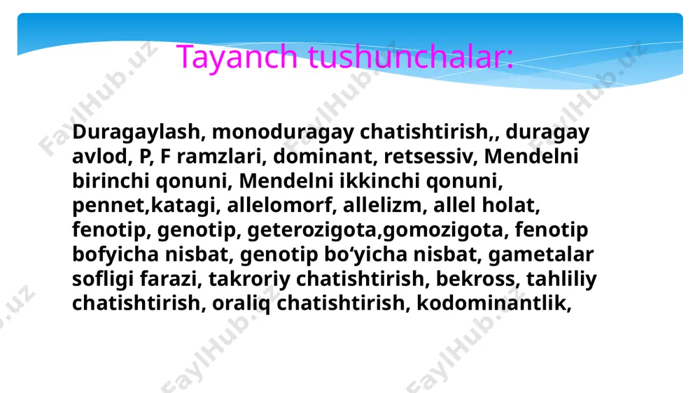 deb ataladi shunday qilib geterozigotali organizmlarda faqat dominant belgilar yuzaga chiqadi. allel genlar bir-birlari bilan qo‘shilib ketmaydilar. bu xususiyatga asoslanib mendel «gametalar sofligi» nomli gipotezasini yaratdi va keyinchalik bu gipoteza sitologik jihatdan asoslandi va genetika qonuniga aylandi allel genlar somatik hujayralarning diploid to ‘plamidagi gomologik xromosomalarning bir xil joylariga (lokuslariga) joylashadi. demak, geterozigotali organizmda gomolog xromosomalardan birinchisida dominant, ikkinchisida esa retsessiv allel joylashadi. meyoz jarayonida gametalarga gomolog xromosomalarning faqat bittasi o'tadi, shuning uchun ular allel genlardan faqat bittasini o'zida saqlaydi. mendelning uchinchi qonuni endi digibrid chatishtirishda belgilarning nasldan naslga qanday o'tishi bilan tanishaylik. mendelning uchinchi qonuni quyidagicha ta ’riflanadi: ikki yoki undan ortiq bir-birlarini inkor qiluvchi belgilari bo‘lgan geterozigot organizmlar o‘zaro chatishtirilganda belgilarning mustaqil nasldan naslga o‘tishi yoki kombinatsiyalanishi kuzatiladi. lekin shu narsani unutmaslik kerakki, bu qonun faqat no allel genlar nogomolog xromosomalarga joylashgandagina amalga oshadi. digeterozigot duragaylar o‘zaro chatishtirilganda quyidagi natijani olamiz. sariq silliq — ab — 9 sariq …