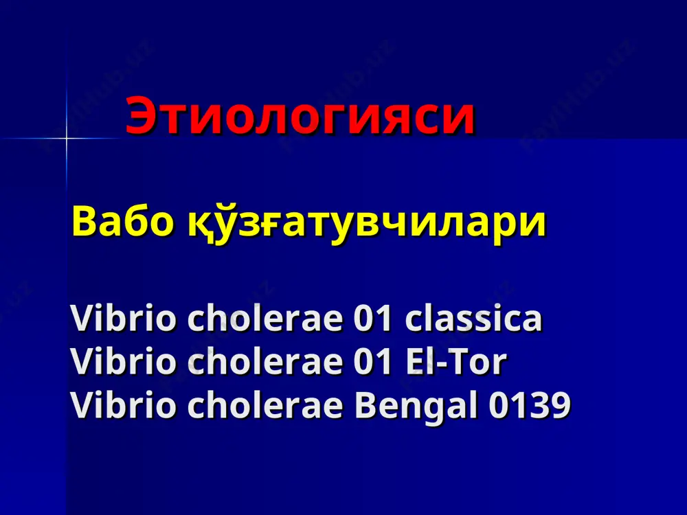 sh birga kechishi mumkin: bakterial infektsiyalar bilan amyobali dizenteriya bilan gelmintozlar va boshka ichak infektsiyalari bilan kokkli infektsiyalar bilan vaboning boshka infektsiyalar bilan birga kechishi vaboning xar kanday shaklida ikkilamchi infektsiya kushilishi uchun sharoit paydo buladi, va bu ichakning tiklanayotgan mikroflorasi bilan boglikligi extimoli bor vaboning tifoid shakli vaboning tifoid shaklini simptomlari klinikasi ancha tez namoyon buladi temperatura bir necha soat davomida 38 – 40 ga kutariladi va ulim yuzaga kelguncha ushlanib turadi. terida kupincha rozeola nusxada toshmalar kuzatiladi yuz terisi dastlab rangpar, sungra kizaradi vasvasa xollari, kuzgalish adinamiya bilan almashishi mumkin vabo belgilari kuzatiladi boshlanishi tusatdan, kuchli intoksikatsiya belgilari bilan kechadi mushaklar, ayniksa kul-oyok mushaklarining tortishishlari kuzatiladi meningial va entsefalitik simptomlar musbat buladi organizmda tez suvsizlanishi va tuzsizlanishi kuzatiladi ab pasayishi yoki yukolishi mumkin ich ketishi va kayt kilish kuzatiladi birinchi sutkalar mobaynida bemor ulishi mumkin vaboning yashin tezligida kechuvchi shakli bemorning axlati kusuk massasi kusuk massasini yigish bemorning …