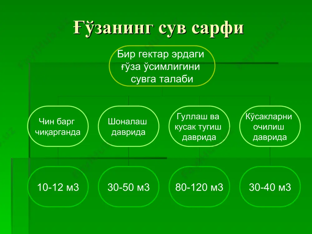 р юмшатилганда ҳайдалма қатламнинг бузилиши, тупроқ ҳажм оғирлигининг камайиши ундаги ғовакликнинг ошиши туфайли ювиладиган запас сув ва ўсув даврида берилган сув каби ва мустаҳкам нам запаси ҳосил қилиб чуқурроқ қатламга тушади. кузатишлардан маълум бўлишича, чуқур ҳайдаб юмшатилган майдонларда одатдагича ҳайдалган ерга қарагагнда ёғин-сочинлар ҳисобига экин экилгунга қадар 1 м чуқурликдаги қатламда гектарига 150-200 м3 сув тўпланади. тупроқнинг сув режимини яхшилаш. сув кам бўлган районларда тупроқнинг сув режимини яхшилашда агротехник тадбирларни самарадорлиги юқори бўлади. қор тўплаш тупроқнинг сув режимини яхшилаб, кузги, баҳорги дон ва бошоқли дон экинлар ҳосилини оширади. масалан, 10 см қалинликда тўпланган қор ҳар гектар ерда қўшимча 200-300 м3/га яқин намга айланади. тупроқда нам сақлашнинг- энг яхши усули бу қора шудгордир. тупроқнинг сув режимини суғориладиган деҳқончилик шароитида тартибга солишда суғоришнинг аҳамияти каттадир. тупроқнинг сув ўтказувчанлиги ва кўтариш хусусияти. тупроқнинг сув ўтказувчанлиги деб юқоридан пастки қатламларига сув ўтказиш қобилиятига айтилади. капилляр оралиқлар орқали сувни пастдан юқорига кўтаришига эса, тупроқнинг сув …