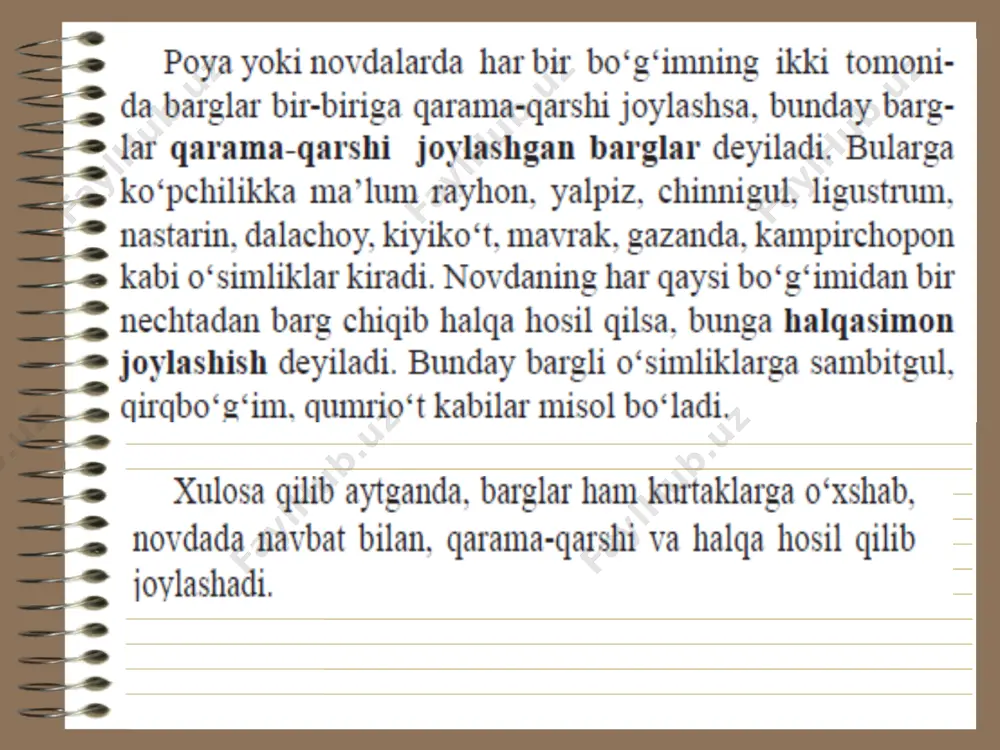 novdada barglarning joylashishi - Page 5