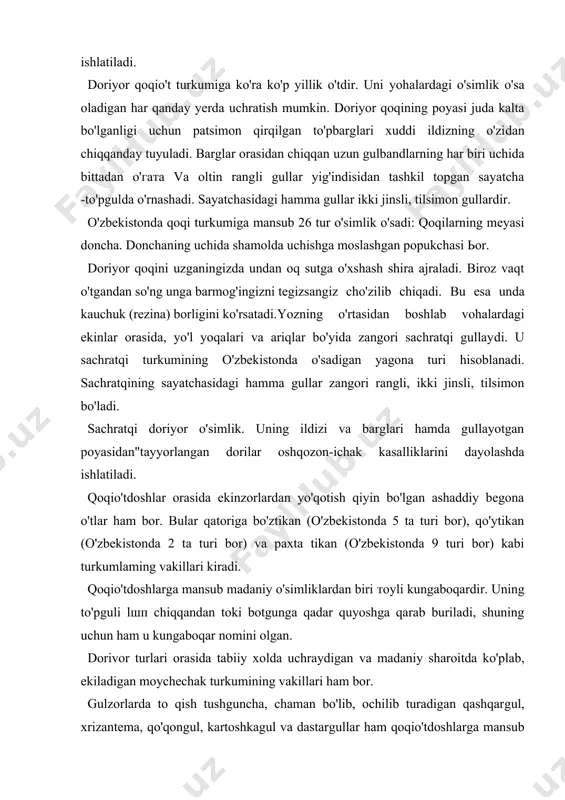 lib qolmay, balki bebaho shifobaxsh o'simlik hamdir. bunga misol qilib, ermon shuyog'ini ko'rsatsa bo'ladi. uning bar​gi, poyasi va to'pgulidan tayyorlangan dorilar ilmiy tabobatda kasalliklarni dayolashda ishlatiladi. bahorning ilk darakchilaridan bo'lgan qoqi yoki тота​qaymoqni kim bilmaydi deysiz? ular ilmiy kitoblarda dori​vor qoqi deb ataladi, chunki qoqi va mоmа​qaymoqlar ildizi va bargidan tayyorlangan dorilar kasallik​larni dayolashda ishlatiladi. doriyor qoqio't turkumiga ko'ra ko'p yillik o'tdir. uni уо​halardagi o'simlik o'sa oladigan har qanday yerda uchratish mumkin. doriyor qoqining poyasi juda kalta bo'lganligi uchun patsimon qirqilgan to'pbarglari xuddi ildizning o'zi​dan chiqqanday tuyuladi. barglar orasidan chiqqan uzun gulbandlarning har biri uchida bittadan о'гата va oltin rang​li gullar yig'indisidan tashkil topgan sayatcha -to'pgulda o'rnashadi. sayatchasidagi hamma gullar ikki jinsli, tilsimon gullardir. o'zbekistonda qoqi turkumiga mansub 26 tur o'simlik o'sadi: qoqilarning meyasi doncha. donchaning uchida sha​molda uchishga moslashgan popukchasi ьor. doriyor qoqini uzganingizda undan oq sutga o'xshash shira ajraladi. biroz vaqt o'tgandan so'ng unga barmog'ingizni te​ gizsangiz cho'zilib …