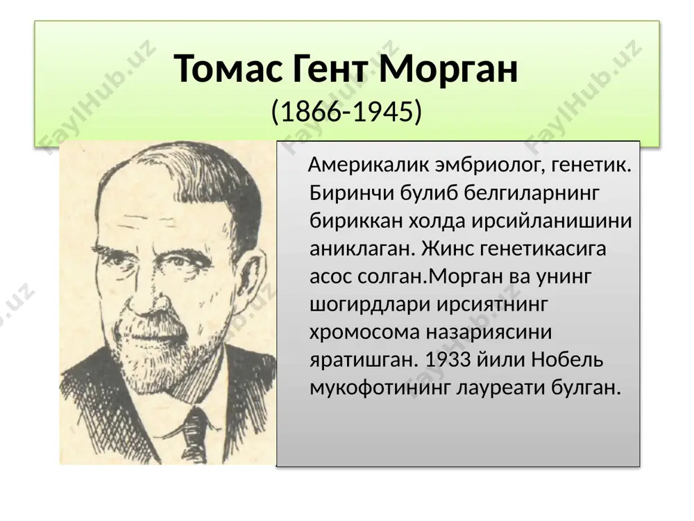 вига – кросинговерга боғлиқ. v v v v v v b b b b b b демак генларнинг тўлиқ бириккан ҳолати, гаметаларнинг етилишида, гомоло-гик хромосомалар ўртасидаги кросинговер ҳисобига бузилар экан дрозофилада хромосомаларнинг кроссинговер туфайли белгиларнинг бириккан холда ирсийларишининг узгариши b b v v b b v v b b v v b b v v p f1 fb b b v v b b v v b b v v b b v v 41,5% 41,5% 8,5% 8,5% кроссинговер (гомологик хромосомаларнинг айрим қисмларини алмашиши) х – морганида ўлчамидаги генлар орасидаги масофа; а – хромосомаларда чалкашув бўлган биринчи гуруҳ дурагайлари сони; с – хромосомалардаги чалкашув бўлган иккинчи гуруҳ дурагайлари сони; n – шу тажрибадаги дурагайларнинг сони морган ушбу усул ёрдамида дрозофила пашшаси хромосомаларидаги жуда кўп генлар орасидаги масофани аниқлади ва ҳар бир ген гуруҳларидаги генларнинг жойлашиш тартибини кўрсатди. генларнинг хромосомада ўзаро қандай тартибда жойлашганлигини аниқлашни қуйидаги мисол ёрдамида кўриб чиқамиз. чатиштириш …