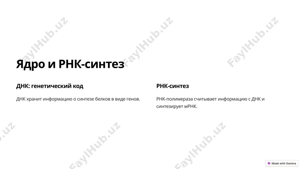 биосинтез белка: от гена к функции - Page 2