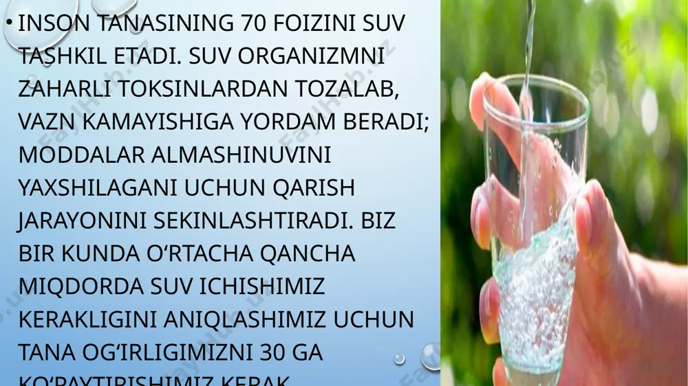 suv iste'moli - Page 3