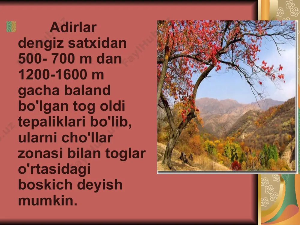 o`zbekistonning adir mintaqasida tarqalgan o`simliklar oilalari - Page 5