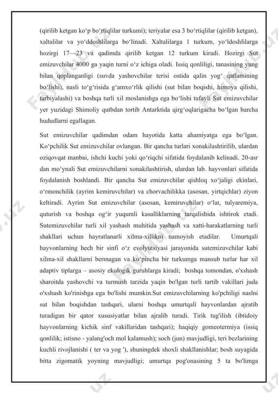 uchli rivojlanishi, asosiy ko'rish markazining funktsiyalarini unga o'tish va xatti-harakatlarning murakkab shakllarini boshqarish markazi). ; orqa miyada kulrang moddaning paydo bo'lishining o'ziga xos xususiyati, qachon torusda u lateral o'simtalar - "shoxlar" bilan kesmada "kapalak" figurasini hosil qiladi. oldingi miyadan medulla oblongata va dorsalgacha bo'lgan piramidal yo'lning mavjudligi simpatik va parasempatik asab tizimlarining innervatsiya sohalarining to'liq bir-biriga mos kelgunga qadar o'zaro bir-biriga mos kelishi; o'rta quloqning uchta eshitish suyaklarining mavjudligi, tashqi quloq kanali va aurikula; o'pkaning alveolyar tuzilishi; to'rt kamerali yurak va bitta (chap) aorta yoyi mavjudligi bilan ta'minlangan qon aylanish doiralarining to'liq ajralishi; buyraklardagi portal qon aylanishining yo'qligi, boshqalarga xosdir. to'rt oyoqlilar; yadrosiz eritrotsitlar; ko'pchilik sutemizuvchilar, ko'r ichak devorlarida limfa to'qimalarining sezilarli miqdori; moyaklar oval shakli; prion kasalliklariga moyillik (sut emizuvchilardan tashqari, ular faqat ba'zi zamburug'larda ma'lum). 1.1.oila haqida umumiy tushuncha mushuksimonlar (felidae) – yirtqich sutemizuvchilar turkumi oilasi. kattaligi har xil. boshi yumaloq, dumi odatda uzun. oyoqlari nisbatan uzun, barmoqlarida …