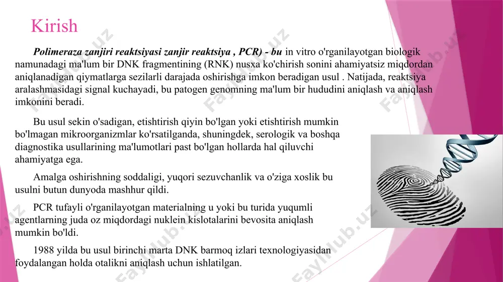 970-yillar boshida nobel mukofoti laureati x.korananing laboratoriyasidan norvegiyalik olim x.kleppe 80-90 °c gacha qizdirish orqali ikkala zanjirni ajratib, yangi hosil boʻlgan dnk segmentlarini ikki barobarga oshirish usulini taklif qildi. pcrning kashf etilishi tarixi keri b. mullis (1944–2019) 1971 yilda ushbu texnikani tavsiflovchi birinchi nashrda kleppe va boshqalar shunday yozgan: " dnk dupleksi ( ya'ni dnkning qo'sh zanjiri ) bitta zanjir hosil qilish uchun denatüratsiya qilinishi kerak. ushbu bosqich ikkita mos primerning etarlicha katta ortiqcha mavjudligida amalga oshiriladi. sovutgandan so'ng, har biri astar bilan mos ravishda murakkablashtirilgan shablon zanjirining butun uzunligini o'z ichiga olgan ikkita strukturani olishga umid qilish mumkin. dnk polimeraza qo'shilishi replikatsiyani tiklash jarayonini yakunlaydi va asl dupleksning ikkita molekulasiga olib kelishi kerak. har safar yangi ferment dozasini qo'shib, butun tsikl takrorlanishi mumkin. biroq, bu taklif o'sha yillarda primerlarni qo'lda ko'p mehnat talab qiladigan sintez va e. coli dan ko'p miqdorda dnk polimerazasini tozalash zarurati tufayli amalga oshmay qoldi. …