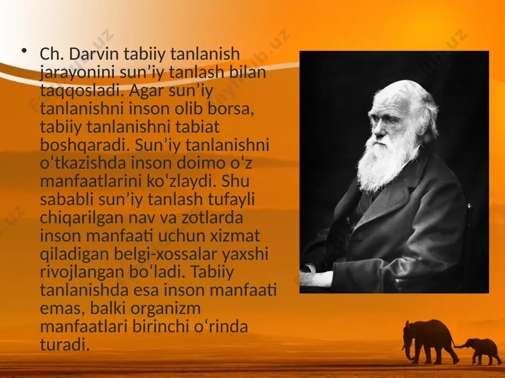 tabiiy tanlanish va uning turlari. 10 - sinf - Page 5